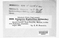 Image Associated With the Occurence